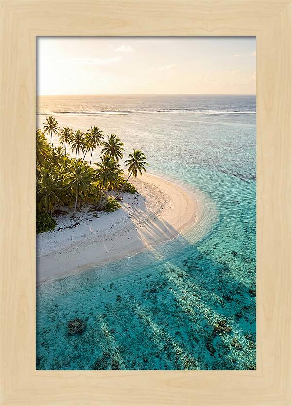 Funafuti Conservation Area At Golden Hour