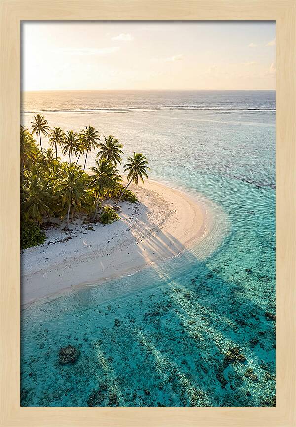 Funafuti Conservation Area At Golden Hour