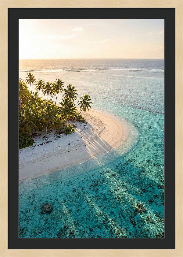 Funafuti Conservation Area At Golden Hour