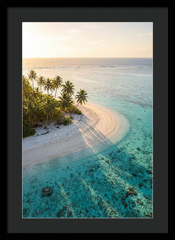 Funafuti Conservation Area At Golden Hour