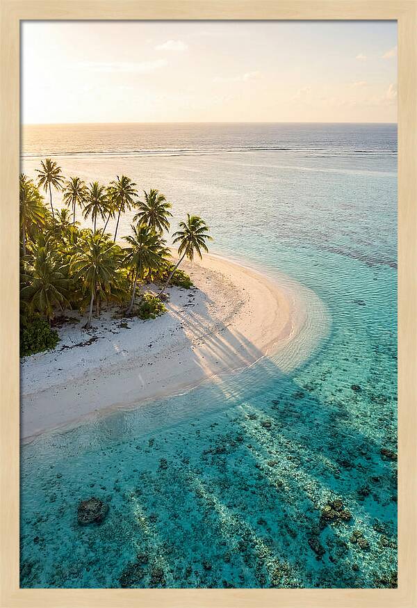 Funafuti Conservation Area At Golden Hour