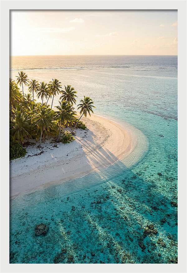 Funafuti Conservation Area At Golden Hour