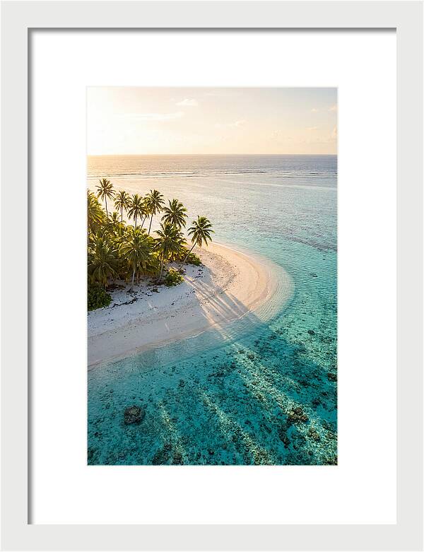 Funafuti Conservation Area At Golden Hour