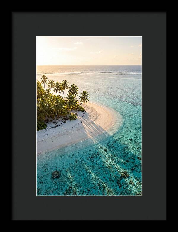 Funafuti Conservation Area At Golden Hour