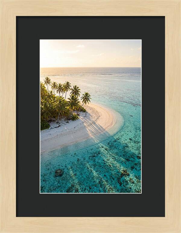 Funafuti Conservation Area At Golden Hour