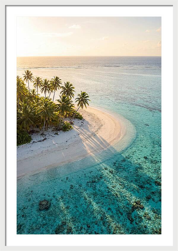 Funafuti Conservation Area At Golden Hour