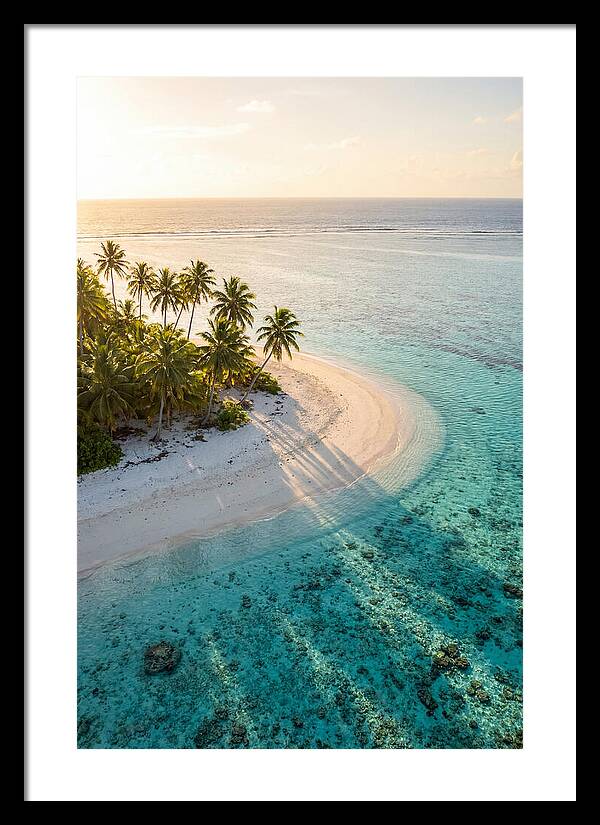 Funafuti Conservation Area At Golden Hour