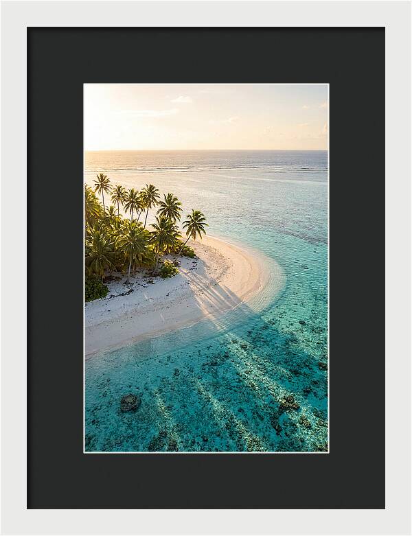 Funafuti Conservation Area At Golden Hour