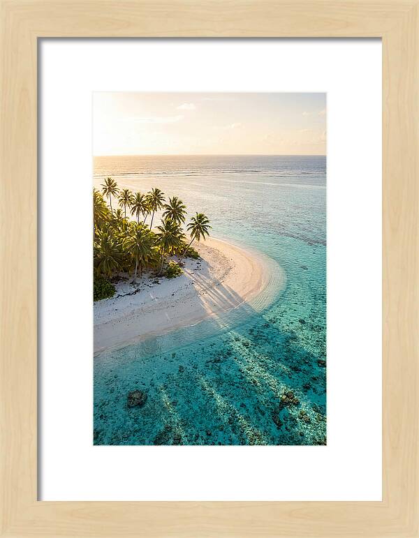Funafuti Conservation Area At Golden Hour