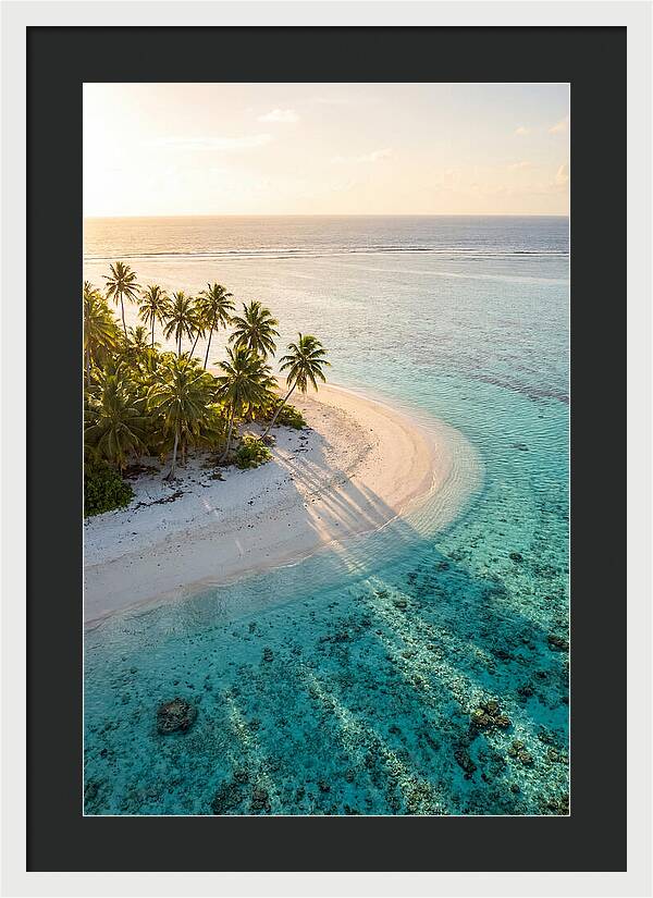 Funafuti Conservation Area At Golden Hour