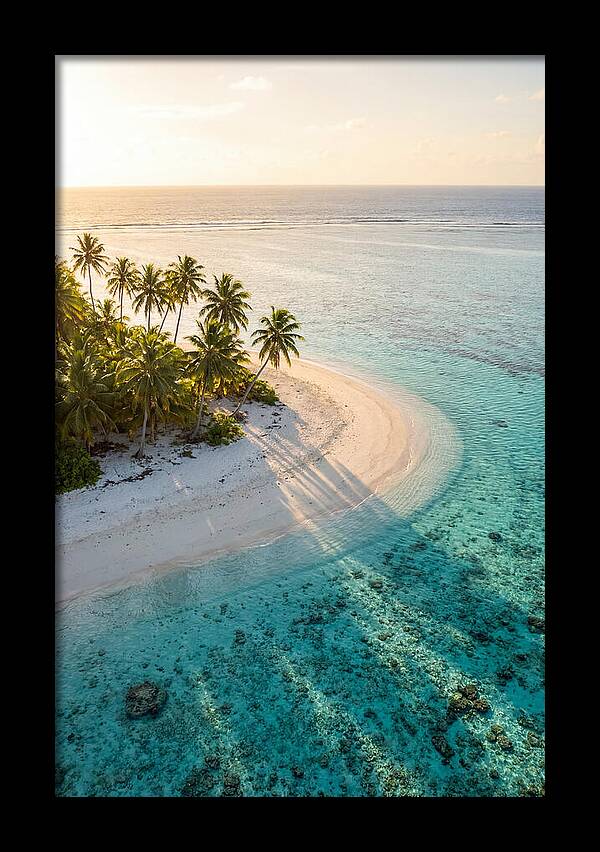 Funafuti Conservation Area At Golden Hour