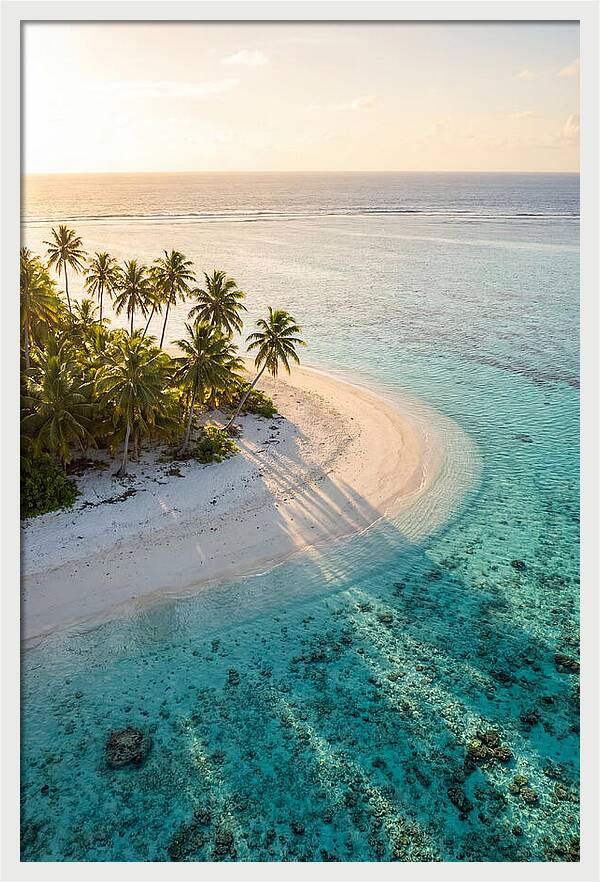 Funafuti Conservation Area At Golden Hour