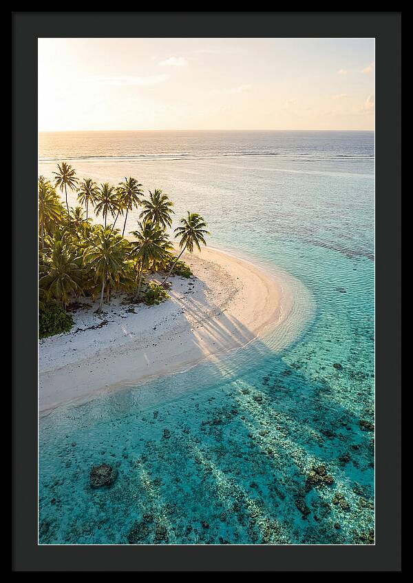 Funafuti Conservation Area At Golden Hour