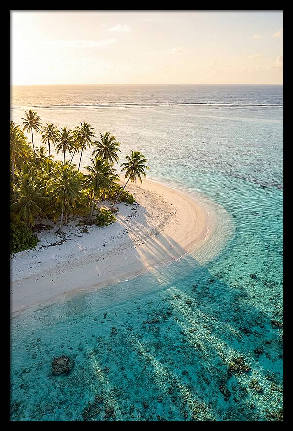 Funafuti Conservation Area At Golden Hour