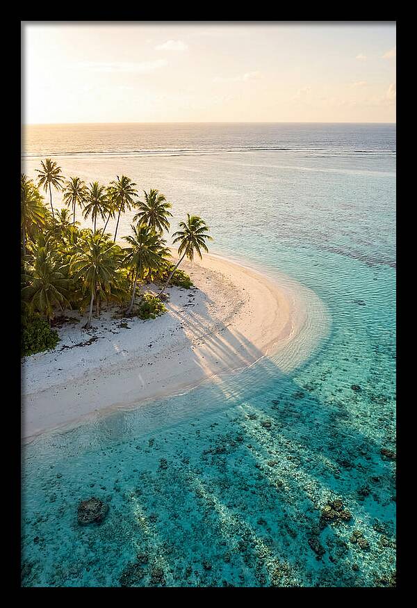 Funafuti Conservation Area At Golden Hour