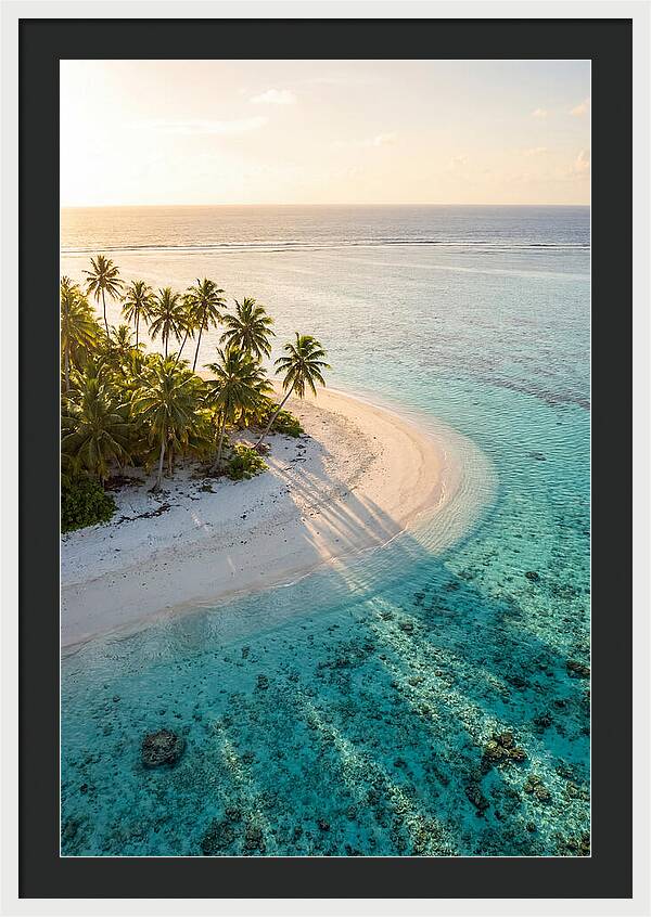 Funafuti Conservation Area At Golden Hour