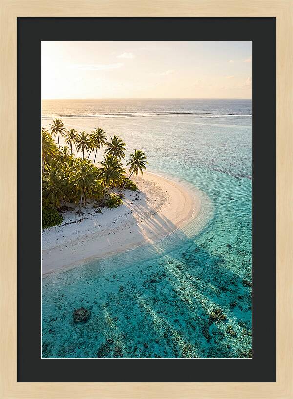 Funafuti Conservation Area At Golden Hour