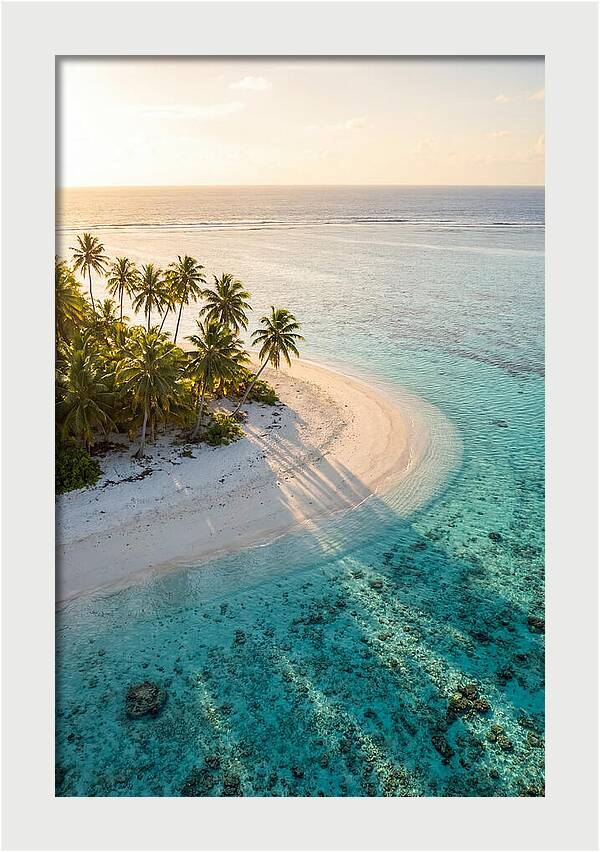 Funafuti Conservation Area At Golden Hour