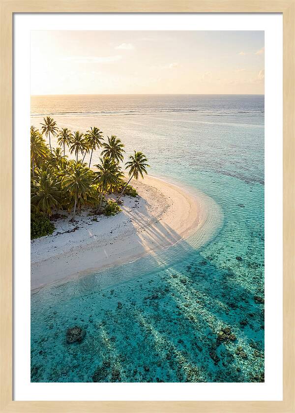 Funafuti Conservation Area At Golden Hour