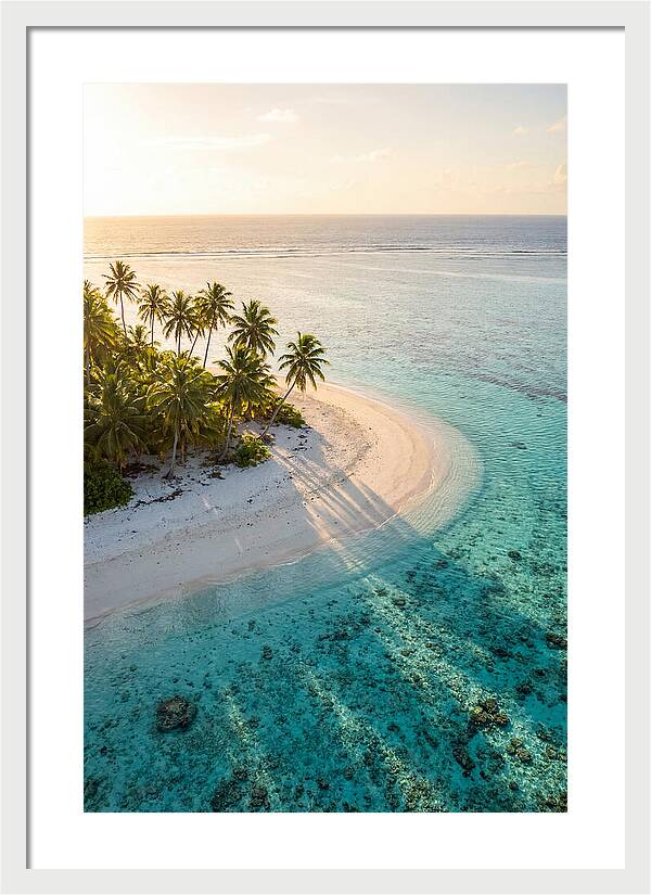 Funafuti Conservation Area At Golden Hour