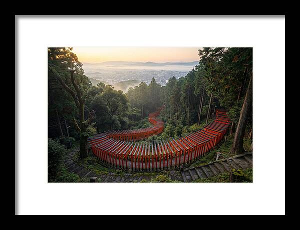 Fushimi Inari Shrine At Dawn