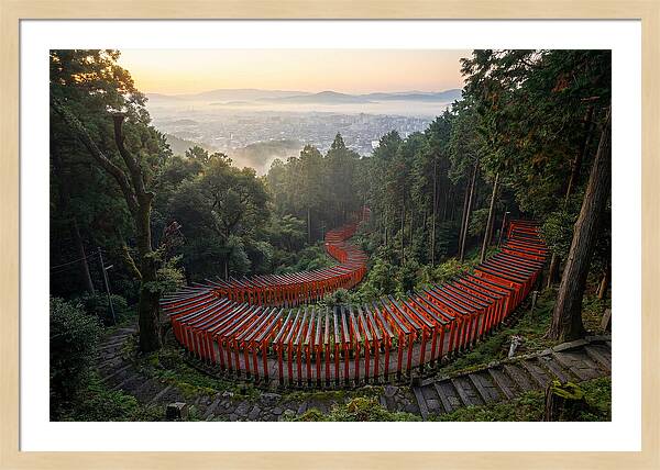 Fushimi Inari Shrine At Dawn