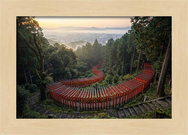 Fushimi Inari Shrine At Dawn
