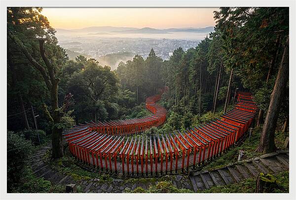 Fushimi Inari Shrine At Dawn