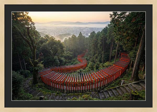 Fushimi Inari Shrine At Dawn
