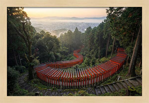 Fushimi Inari Shrine At Dawn