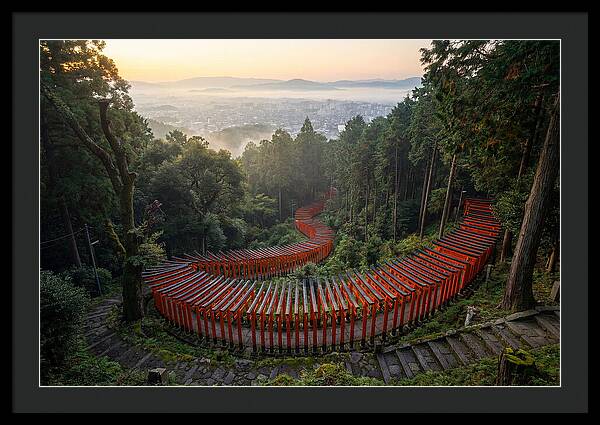 Fushimi Inari Shrine At Dawn