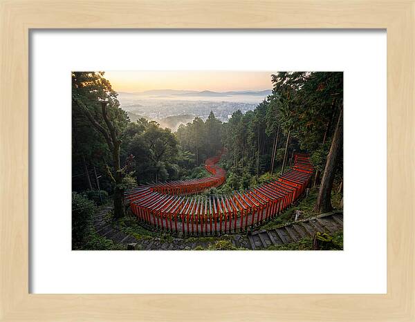 Fushimi Inari Shrine At Dawn