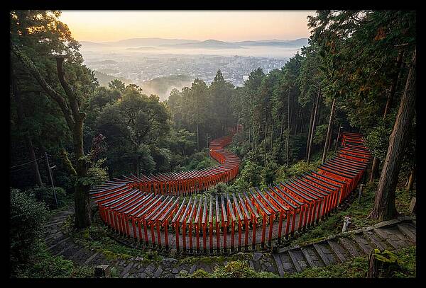 Fushimi Inari Shrine At Dawn