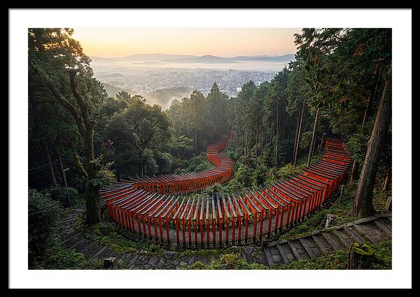 Fushimi Inari Shrine At Dawn