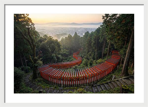 Fushimi Inari Shrine At Dawn