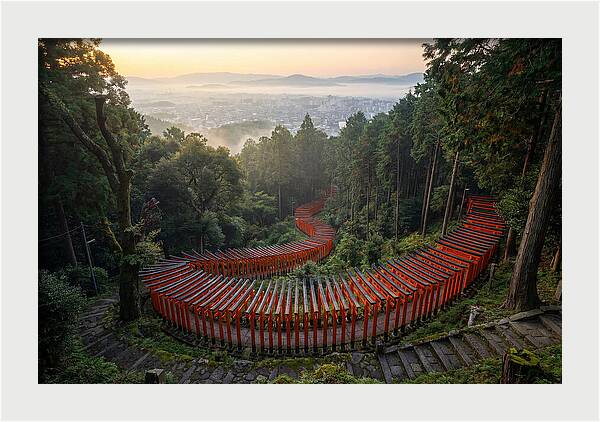 Fushimi Inari Shrine At Dawn
