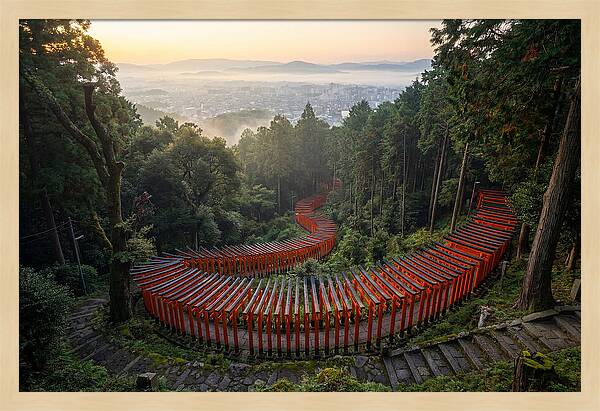 Fushimi Inari Shrine At Dawn
