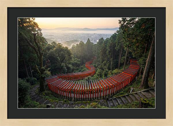 Fushimi Inari Shrine At Dawn