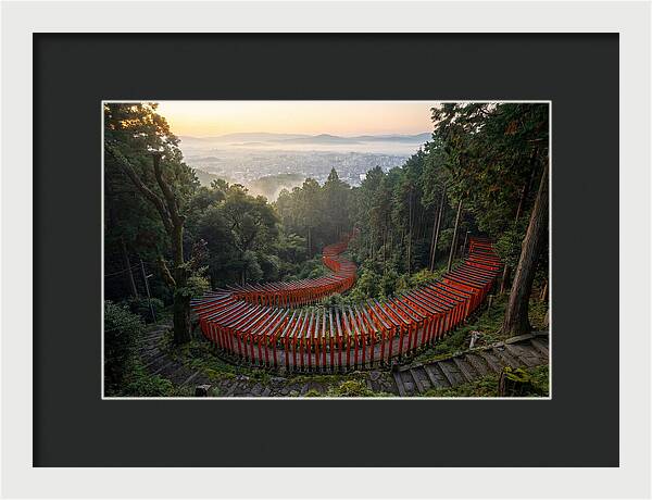 Fushimi Inari Shrine At Dawn
