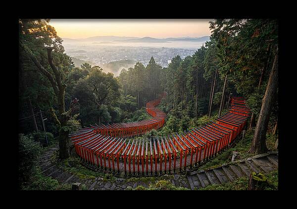 Fushimi Inari Shrine At Dawn
