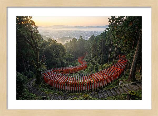 Fushimi Inari Shrine At Dawn