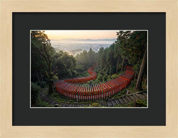 Fushimi Inari Shrine At Dawn