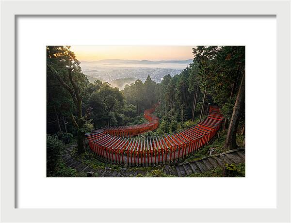 Fushimi Inari Shrine At Dawn