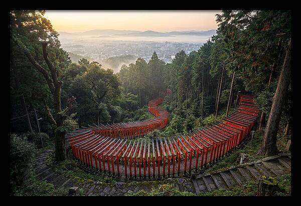 Fushimi Inari Shrine At Dawn