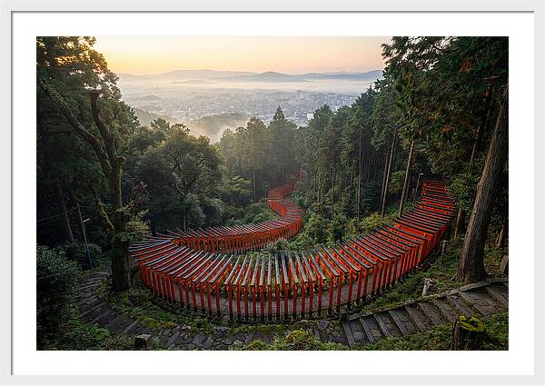 Fushimi Inari Shrine At Dawn