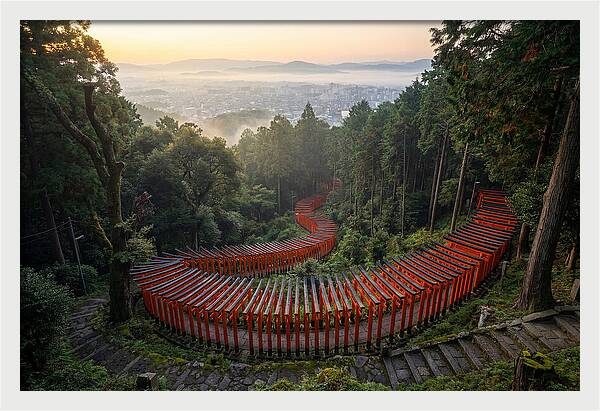 Fushimi Inari Shrine At Dawn