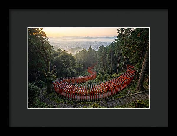 Fushimi Inari Shrine At Dawn