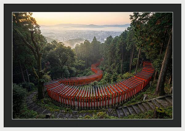 Fushimi Inari Shrine At Dawn