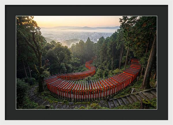 Fushimi Inari Shrine At Dawn