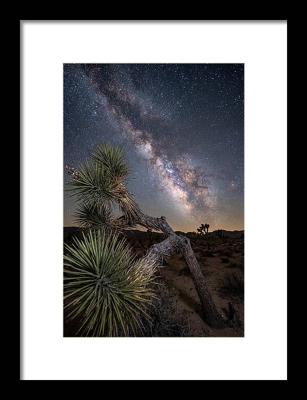 Galactic Dreams Above Joshua Tree